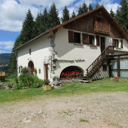Отель La Boissellerie Saulxures-sur-Moselotte Экстерьер фото